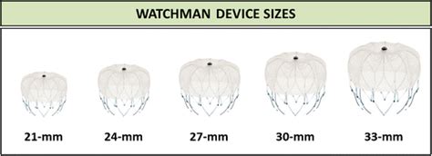 Watchman Device Chart Demonstrates The Watchman Device Appearance And