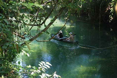 Cairns to Daintree Tropical Rainforest Full Day Guided Tour - BTS Port Douglas Pty Ltd Reservations