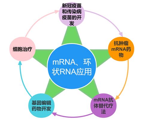 Mrna