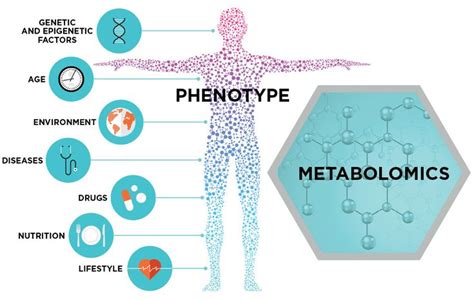 Pin on metabolomics