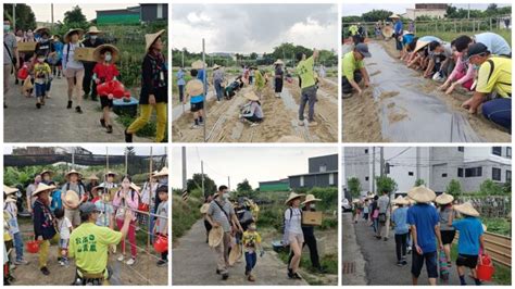 台南區農會食農教育推廣 親子齊種番茄 田園樂