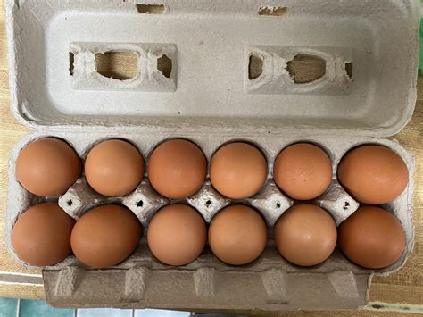 Free Range Organic Eggs – 1 Dozen- IN STORE PICK UP ONLY