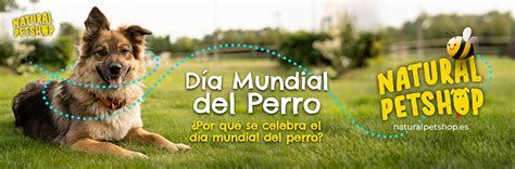 Por Qu Se Celebra El D A Mundial Del Perro