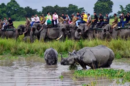 Days Guwahati Shillong Kaziranga Tour Package Cost Itinerary