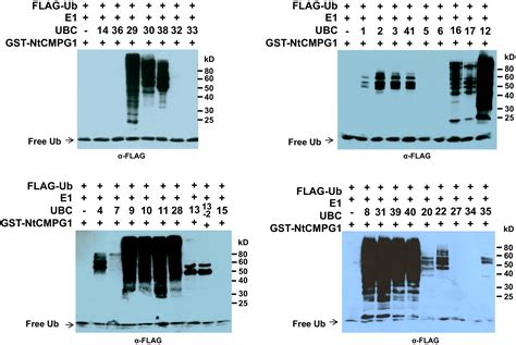 ligase 第8页 大山谷图库