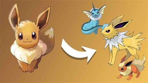 Guide Pokemon Lets Go Ou Trouver Un Pikachu Et Un Voli Et Comment Les