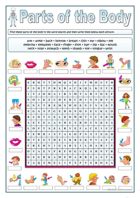 Parts Of The Body Wordsearch Worksheet Free Esl P… Aulas De Inglês