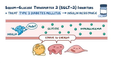 Video Oral Antidiabetic Medications Sodium Glucose Co Transporter