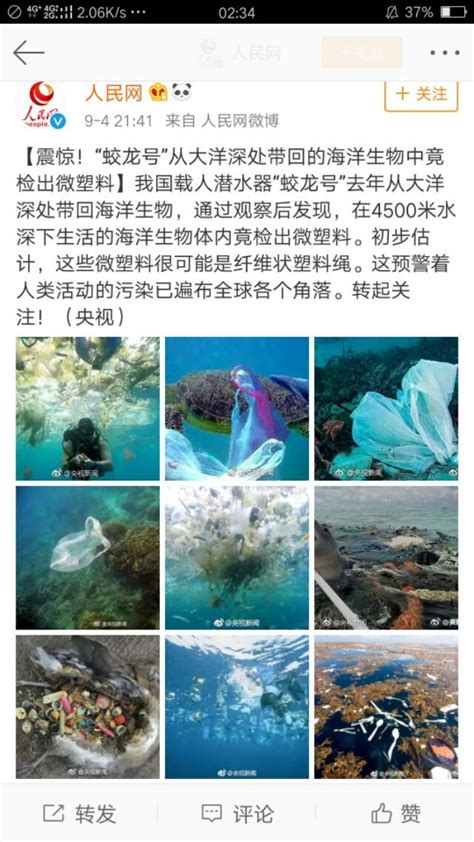 「蛟龍號」帶回的海洋生物竟檢出微塑料 不禁讓人想起這張圖 每日頭條