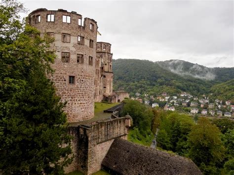 Premium Photo | The ruins of heidelberg castle in heidelberg