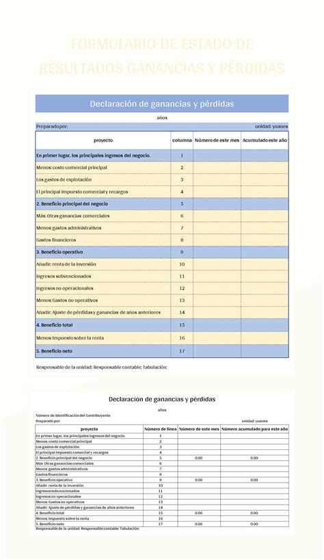 Plantilla De Excel Formulario De Estado De Resultados Ganancias Y