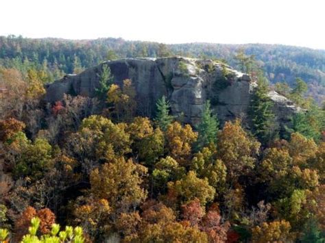 View From Chimney Top Rock Picture Of Red River Gorge Geological Area Winchester Tripadvisor