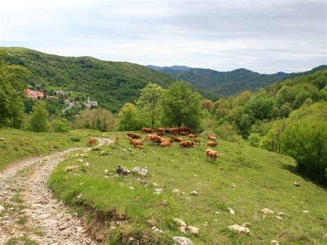 Anello Di Caprile Parco Regionale Naturale Dell Antola