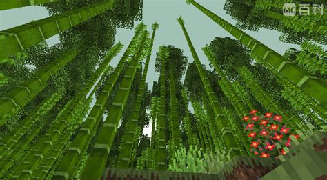 竹林 Bamboo Forest 未至之地 Regions Unexplored Mc百科最大的minecraft中文mod百科