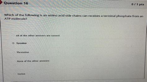 Solved Which of the following is an amino acid side chains | Chegg.com