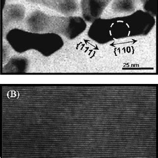 Tem Images Of The Original Gnr Seeds And The Au Coreauag Shell Nps