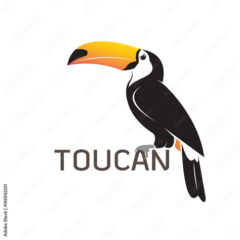 Vector of toucan birb design. Wild Animals. Stock Vector | Adobe Stock