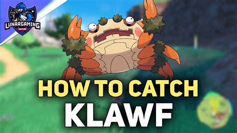 How To Find Klawf Early Pokemon Scarlet And Violet Youtube