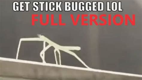 Get Stick Bug LOL Full Version YouTube