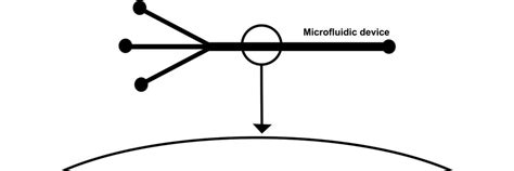 Microfluidics Physics Of Surfaces TU Darmstadt