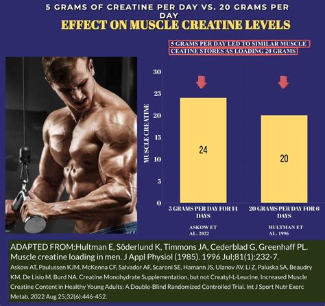 Creatine Monohydrate Vs Hcl For Muscle Gains Evidence Based Muscle