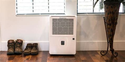 Dehumidifier Features: What to Look for When Buying a Dehumidifier