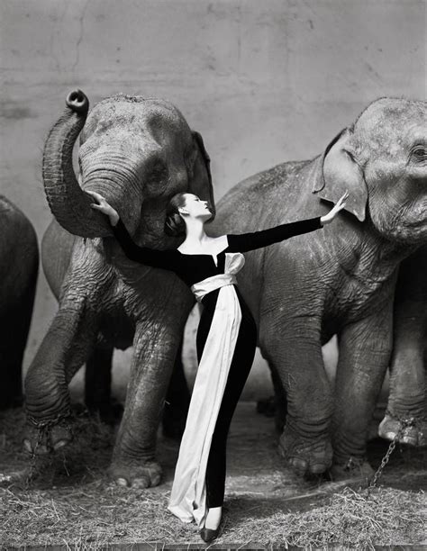 Richard Avedon Dovima With Elephants Stdibs Richard