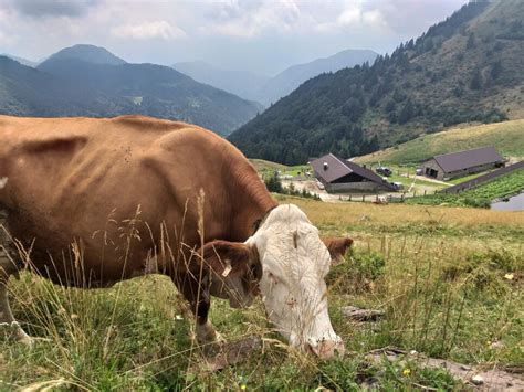 Zoncolan E I Suoi Magici Borghi Nella Carnia Incontaminata