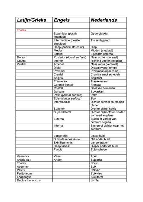 Lijst Met Anatomische Termen StudeerSnel Anatomie Lijst Medisch