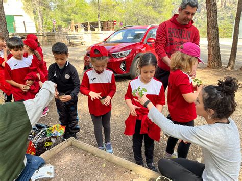 Programa Escolar De Fruita Hortalisses I Llet A N Esc Enric Grau