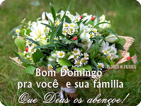 Flores E Frases Bom Dia E Feliz Domingo