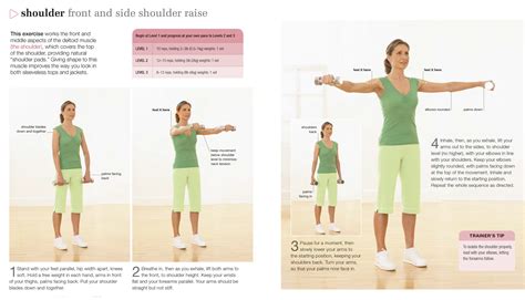 Why Are Arms Called Arms At Michiko Durbin Blog