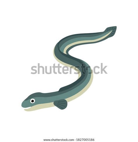 Eel Fish Vector Illustration Isolated On Stock Vector Royalty Free