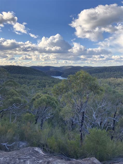 Waratah Track Mountain Biking Trail Sydney