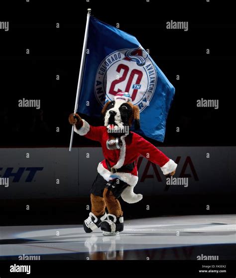 Denver, Colorado, USA. 21st Dec, 2015. Avalanche Mascot BERNIE skates ...