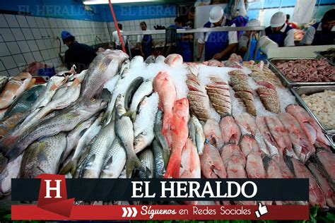 El Heraldo de Veracruz Baja la producción de pescado y mariscos