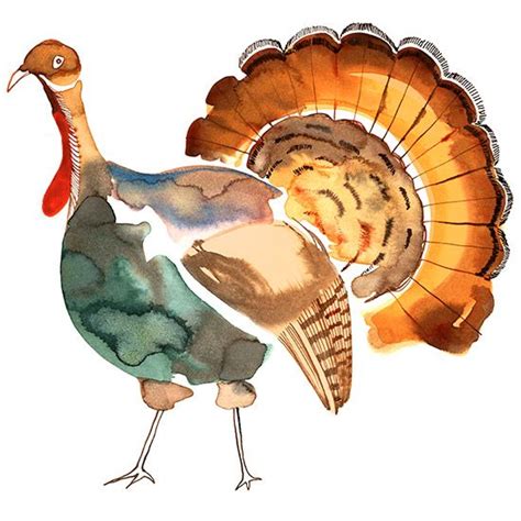 wild turkey watercolor clipart 10 free Cliparts | Download images on ...