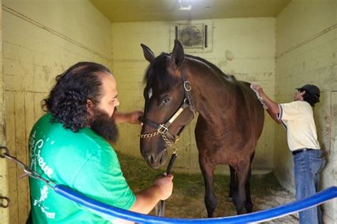 Omar Holds Cozmic One While He Is Groomed In John Shirreffs Belmont