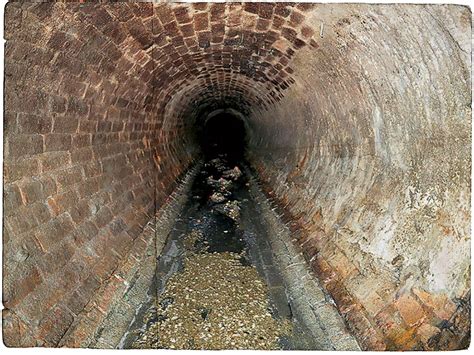 Exploring The Hidden Depths The Thrilling But Risky World Of Sewer