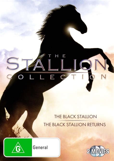 Black Stallion Collection Disc Dvd Robert Dalva Carroll