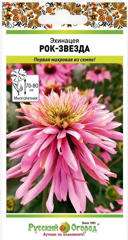 ЦВЕТЫ МНОГОЛЕТНИЕ — Семена для Сибири