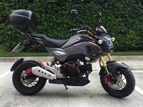 Honda Msx Sf Special Edition H C For Sale Cc Motorcycles For