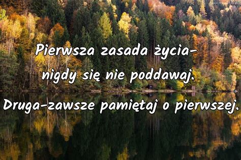 Pierwsza zasada życia nigdy się nie poddawaj