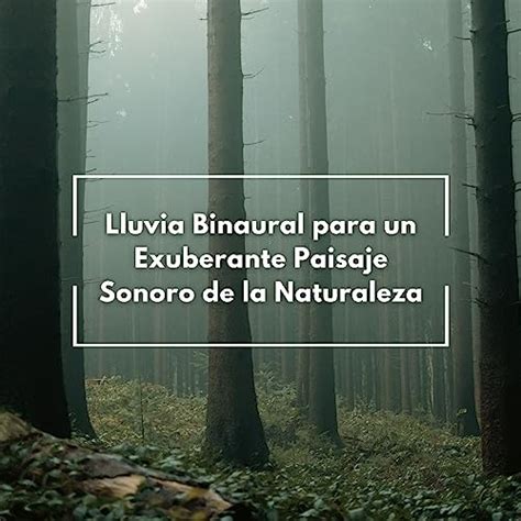 Play Lluvia Binaural Para Un Exuberante Paisaje Sonoro De La Naturaleza