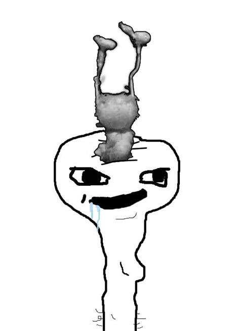 Shark Brainlet Brainlet Know Your Meme