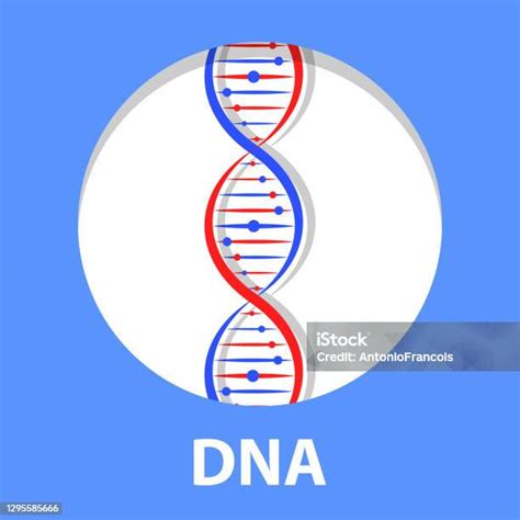 Dna 아이콘 분자 나선 나선형 의학 유전 생명 공학 화학 생물학 유전자 세포 개념 벡터 Dna에 대한 스톡 벡터 아트 및 기타