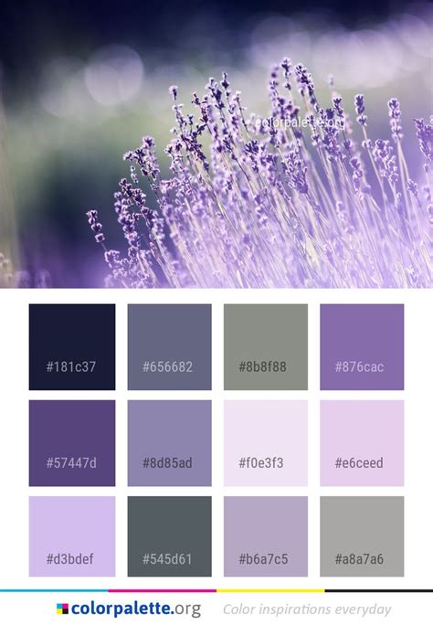 Lavender Water Color Palette Lavender Color Palette Lavender Paint