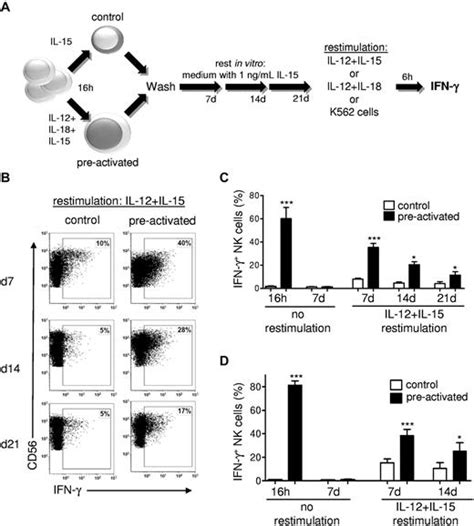 Cytokine Activation Induces Human Memory Like Nk Cells Blood