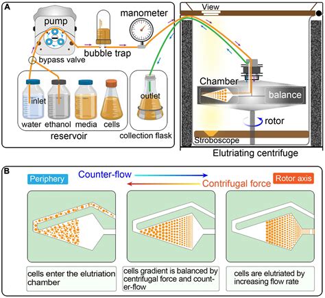 Centrifugation Process Diagram