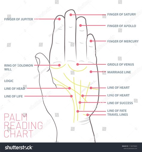 Palm Reading Chart Palmistry Map Palms Stock Vector (Royalty Free) 1118070065